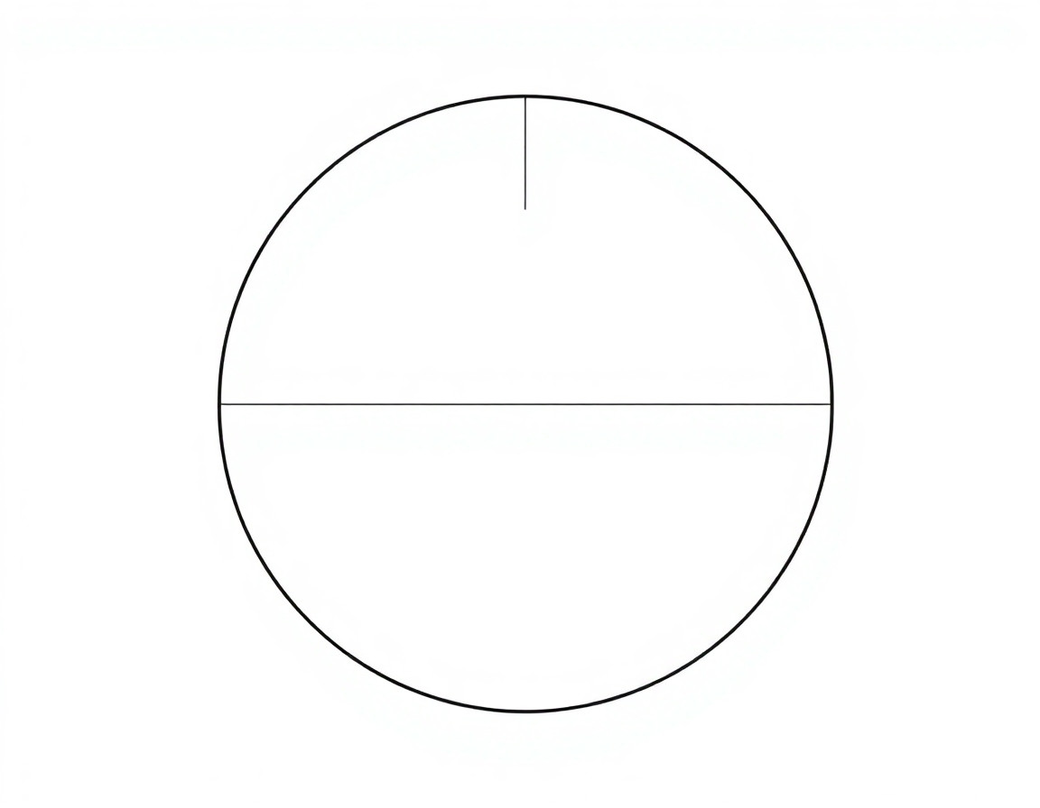 Circle diagram with labeled center, radius, and diameter, clean vector style, white background, educational math illustration for kids