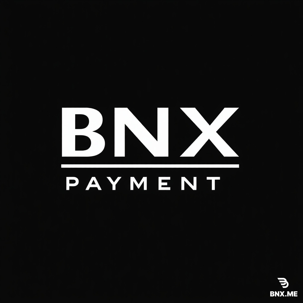 BNX PAYMENTS LIMITED