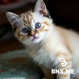 Pussy