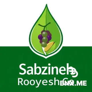 Professional premium square logo for "Sabzineh Rooyesh Co" agricultural company. Main typography: bold modern sans-serif English text "Sabzineh Rooyesh Co" placed prominently at the bottom in large uppercase letters, completely readable and centered.  Main icon above text: an elegant elongated lanceolate leaf with visible veins seamlessly morphing into a protective water droplet that also forms a shield outline. This symbolizes plant protection and fertilizers.  Within the leaf's negative spaces, naturally integrated elements: a small delicate grape cluster containing 4-5 round berries attached to a curved thin stem, and a single pistachio nut featuring its iconic split shell. These should look like they belong to the leaf structure.  Color palette strictly: primary dark emerald forest green (#1A4A2F) for outlines and shield, vibrant spring green (#66BB6A) and matcha green (#88C057) for the leaf and droplet body, and subtle warm earth brown (#A0522D) and khaki (#C3B091) ONLY for the grape stem and pistachio details.  Style: ultra-minimalist vector art, 2D flat design with a whisper of linear gradient depth, razor-sharp crisp edges, high contrast, pure solid white background, no textures, no shadows, no clutter.  Composition: perfectly centered, symmetrical balance on vertical axis. The bottom 25% of the square canvas is deliberately left clean for the bold text.  Aesthetic: corporate agribusiness branding, scientific innovation combined with natural growth, trustworthy and premium quality, professional Instagram profile picture ready.  Final output: square format 1:1 aspect ratio, high resolution, sharp details, minimalist yet powerful.