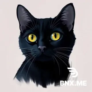 A charming and abstract portrait image of a black cat in