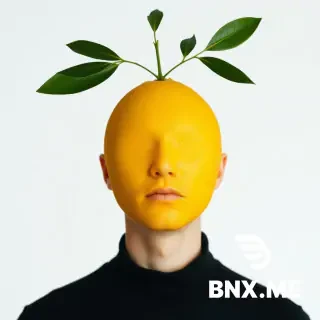 A person with a lemon for a head