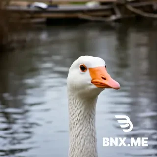goose