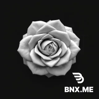 A clean 16-bit grayscale height map of a stylized rose, top-down view, smooth height transitions, high contrast, pure black background, white highest points, optimized for 3D displacement, CNC engraving, and 3D printing, no shadows, no lighting, no textures, only height information