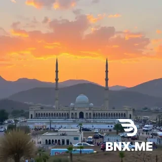 امام علی در حال مبارزه