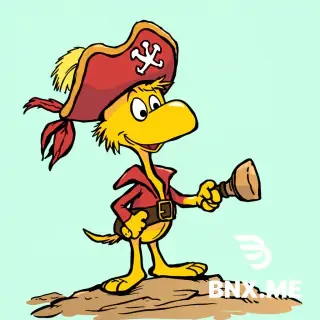 woodstock from peanuts pirate