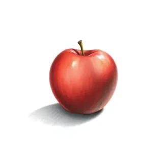 A minimalist illustration of a single red apple, plain white background, soft natural lighting, casting a subtle shadow beneath it, pencil sketch style with shading, graphite texture, shadow tone equivalent to B6 pencil, high contrast grayscale, photorealistic shadow, simple composition."