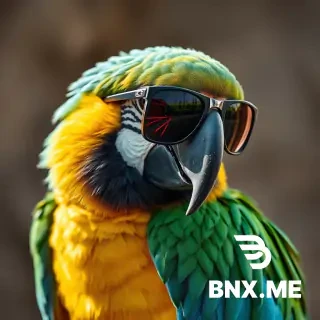 A parrot is Ray sunglasses