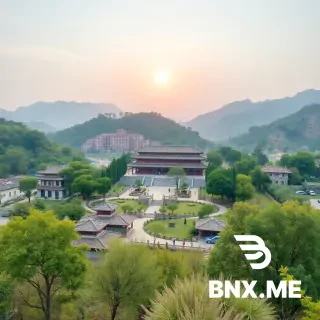 回来