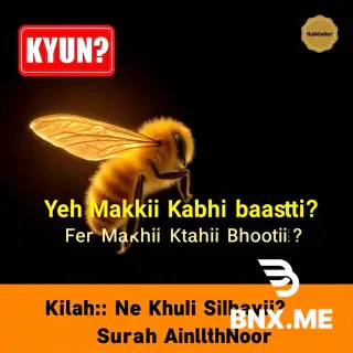 Ultra dramatic cinematic YouTube thumbnail, 16:9 format.  Background: pure deep black, single golden honeybee in center,  macro photography style, sharp wings, glowing golden pollen dust,  dramatic warm golden rim lighting from behind, bokeh blur background,  photorealistic National Geographic quality.  TEXT ON IMAGE — place exactly as written:  TOP LEFT corner — large bold red rectangle badge with white text: "KYUN?"  below it smaller white text: "کیوں؟"  CENTER TOP — very large bold yellow text: "Yeh Makkhi Kabhi Raasta" second line same size bold yellow: "Kyun Nahin Bhooti??"  CENTER BOTTOM — medium white text: "یہ مکھی کبھی راستہ کیوں نہیں بھولتی"  BOTTOM BAR — dark amber full-width rectangle with bold black text: "Allah Ne Khud Sikhaya — Surah An-Nahl"  TOP RIGHT small badge — gold rectangle with black text: "HaiAllahNoor"  Color theme: deep black background, gold #FFD700 main text,  red badge accent, white subtitle text. High contrast. Dramatic. YouTube thumbnail style.