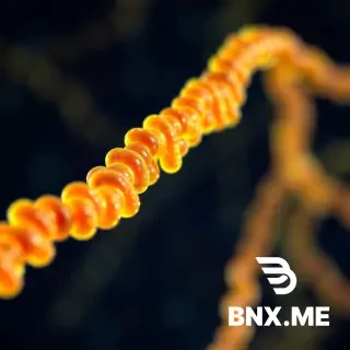 chromosome for my laptop wallpaper