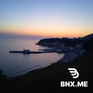 شجرة كواكب ومجرات