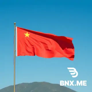 An imaginary national flag, the Zhaozheng Kingdom, demands a sense of sanctity and dignity.