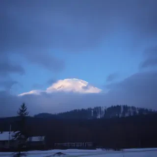 Джафар маринует черепаху