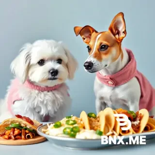 a Maltese dog (all white, long hair, fluffy, black eyes and nose, drooping ears, rounded teddy-bear like face) and a Jack Russel dog (all white except brown ears and eye area, a white crridor betweeen the eyes) wearing pretty dog coats looking at a platter of tacos. The two dogs should be same size but very different