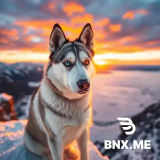 "A majestic Siberian Husky with heterochromia (one bright blue eye and one warm amber eye), sitting on a snowy cliff edge at golden hour. The background features a breathtaking sunset with vibrant orange and purple clouds reflecting off a frozen lake below. Ultra-realistic, highly detailed fur texture, cinematic lighting, 8k resolution, sharp focus, emotional and majestic atmosphere."