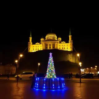 черепаха в панаме