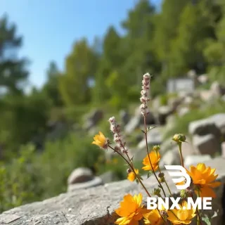 تصویر یک خانم زیبا در کنار یک درخت سرسبز و در حال بازی با یک وسیله