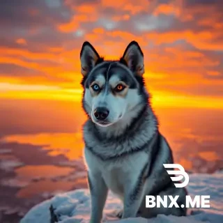"A majestic Siberian Husky with heterochromia (one bright blue eye and one warm amber eye), sitting on a snowy cliff edge at golden hour. The background features a breathtaking sunset with vibrant orange and purple clouds reflecting off a frozen lake below. Ultra-realistic, highly detailed fur texture, cinematic lighting, 8k resolution, sharp focus, emotional and majestic atmosphere."