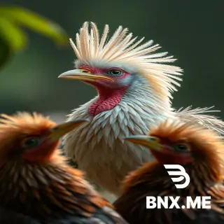 Take an image of a convalescing bird with a big crest having fun with different guys