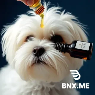 a maltese dog, looking ruffled, with a bottle pouring a few drops of macassar oil over its head