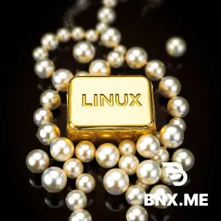 gold bar silver bar copper cristals linux mint logo among pearls