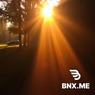 ... under soft morning sunlight, gentle shadows, warm tones