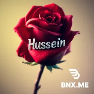 Make me a picture of a rose that is red and has the name Hussein on it.