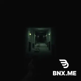 "First-person POV peering into a dark basement, revealing rows of graves barely visible in the shadows, horror atmosphere, cinematic lighting."