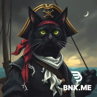 black cat pirate