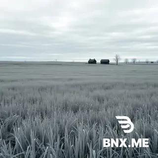 A vast empty snowless winter plain covered with tall, dry, gray winter grass. The grass is dense and continuous, knee-high in the foreground with some blades waist-high, gradually becoming shorter toward the distance to create depth. Blades bend slightly in a cold breeze. Natural density, soft fine texture, visible individual blades, not short, not mowed, not stubble, not sparse, not in clumps. The ground is uneven and undulating with low rolling ridges, shallow dips, and soft rises and falls. In the far middle distance, a small cluster of old, simple, dark wooden houses. Bare black trees scattered sparsely. Low mist in the hollows. Sky: layered soft gray clouds with varied tones, darker and lighter patches, hints of pale blue-gray, not black, not flat. Cold blue overcast light, even and diffused, no strong bright patches, no harsh shadows, no warm sunlight. Muted desaturated palette: slate gray, ash gray, pale blue, dark brown, faded black. Faded nostalgic atmosphere, soft haze, subtle film grain. Ultra high resolution, 8k, sharp focus, detailed grass texture, realistic textures, natural lighting, RAW photo, professional landscape photography, masterpiece, best quality. No people, no cars, no modern objects, no bright colors, no warm lights, no snow, no frost, no ice, no white ground, no flat ground, no smooth lawn, no carpet grass, no isolated grass tufts, no short grass, no mowed grass, no stubble, no blurry, no low quality, no close-up of a single house. Photorealistic, cinematic, 24mm wide-angle lens, f/8, deep focus,
