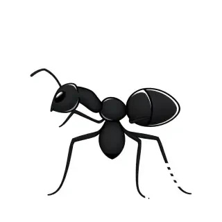 A black cartoon ant from behind and from the front. The image should be from above. The ant should be simple but detailed.