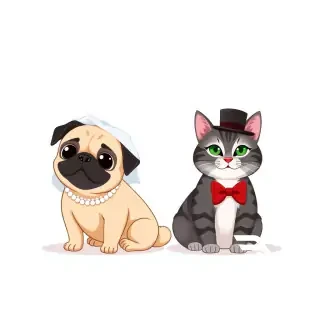 A square wedding invitation card, Disney animated style, isolated on a clean white background, a cute pug dog wearing a white bridal veil and pearl necklace, sitting next to a cute gray tabby cat with black stripes, a dark gray-black back, and a pure white belly, the cat wearing a black top hat and a red bow tie, both pets sitting side by side, looking happily at the viewer, simple elegant composition, flat vector illustration, soft shadows, no background elements, plenty of empty white space around them for text overlay, 1:1 aspect ratio.