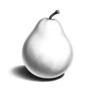 A black-and-white pencil drawing of a single pear, ultra-detailed graphite sketch, strong B6 pencil shading, dark soft shadow beneath the pear, plain white background, high contrast, realistic texture, monochrome, no color, traditional art style