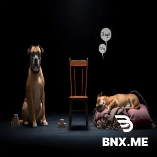 A single, medium-sized dog of ambiguous breed, embodying two internal states, sitting on a dimly lit psychological stage. On one side, the "topdog" persona: it sits upright, rigid, wearing oversized judge's spectacles, a stern expression, its body stiff with self-righteousness, a small, neat pile of bricks at its feet, each one stamped with a bold "SHOULD". On the opposite side of the stage, the same dog expressing the "underdog" persona: it lies flat on a heap of tangled, unkempt cushions, belly up, with a look of theatrical defeat and pleading in its eyes, its body language a mix of apology and cunning evasion; small thought bubbles above it read "I'll try" and "I can't". Between them, an empty wooden chair, a visual metaphor for the Gestalt therapy "empty chair" technique used to explore this internal conflict. The air between them is thick with invisible, taut ropes, showing their dynamic tension. The lighting is a single, stark spotlight from above, casting long shadows and leaving the edges of the scene in deep, dark.  Symbolic, conceptual art, high detail, psychological illustration style, muted palette of grays, faded ochres, and dusty blues.