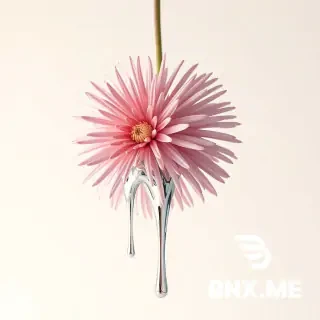 A Leucospermum with chrome paint dripping off it. The Leucospermum should look like it was partially dipped in the shiniest chrome paint possible. The flower and paint should be suspended in mid air. The background should be soft plain white. The image should look like it was shot on a iphone with realistic effects and soft glow the image should be 300dpi and the size should be 10,500dpi x 13,800dpi in portrait mode.