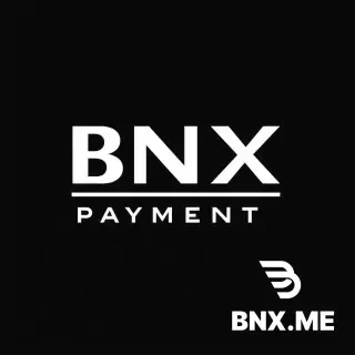 BNX PAYMENTS LIMITED