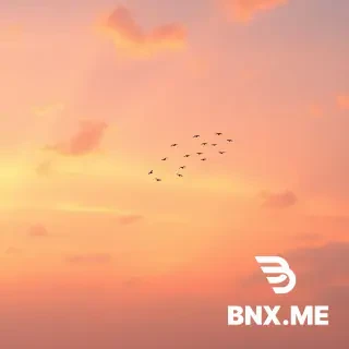 "A breathtaking wide sky during golden hour, soft gradient of warm orange, pink, and purple, scattered fluffy clouds glowing at the edges, a flock of small birds flying in a V-formation across the sky, peaceful and dreamy atmosphere, high resolution, photorealistic."