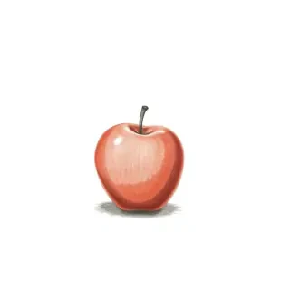 A minimalist illustration of a single red apple, plain white background, soft natural lighting, casting a subtle shadow beneath it, pencil sketch style with shading, graphite texture, shadow tone equivalent to B6 pencil, high contrast grayscale, photorealistic shadow, simple composition."