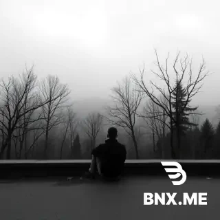I'm so lonesome I could die