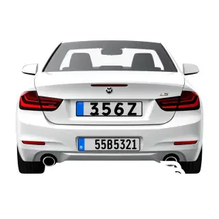 i need an icon of real serbian car plates, i want to use the icon in my app, and i want the users to use it to type inside of the picture their registration number